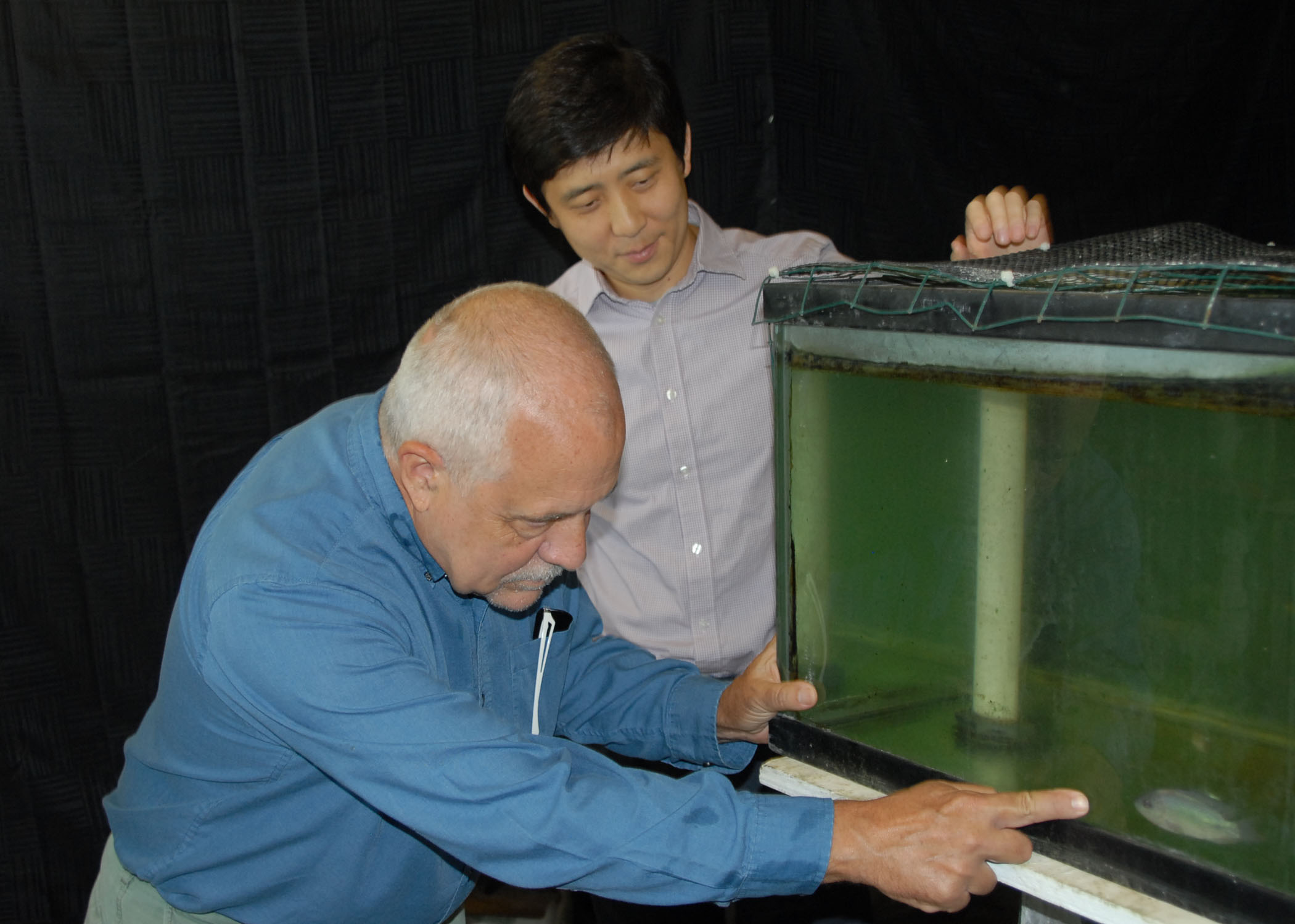LSU AgCenter receives LIFT2 grants to refine research projects 